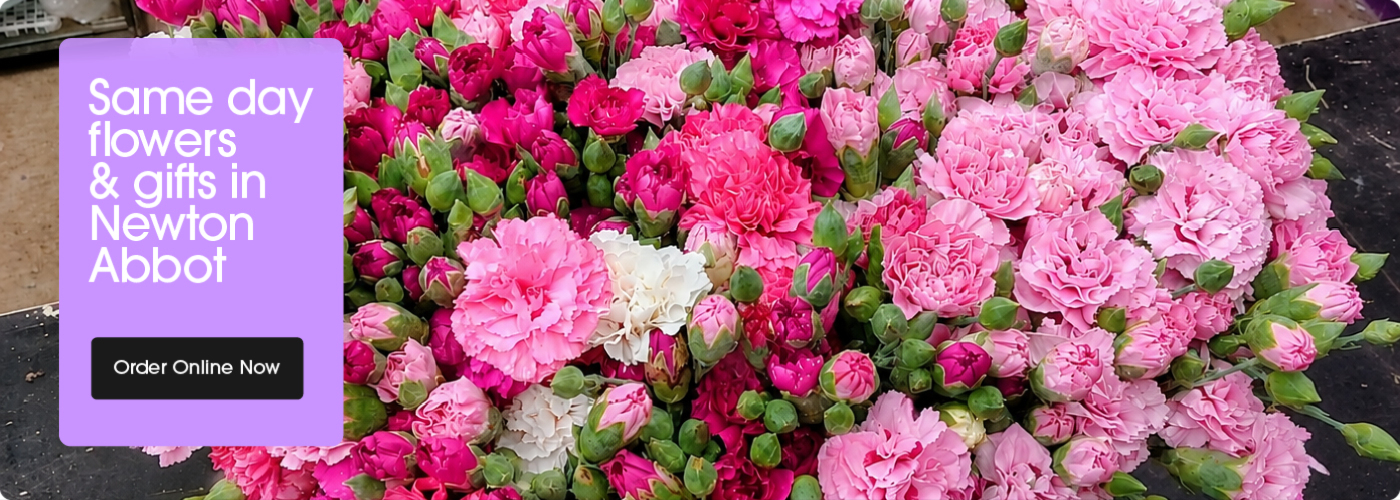 Seasonal bouquets from Glorious Veronicas in Newton Abbot offering same-day delivery