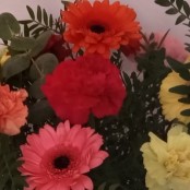 Gerbera & Carnation Bouquet