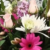 Blush and Bloom